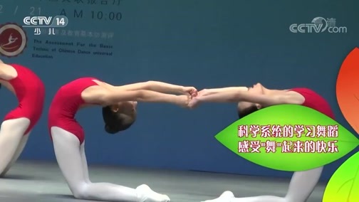 新闻袋袋裤 《新闻袋袋裤》 20190301