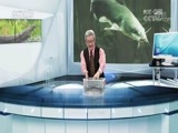 地理中国 《地理中国》 20180812 水下谜团·山崖流鱼的奥秘