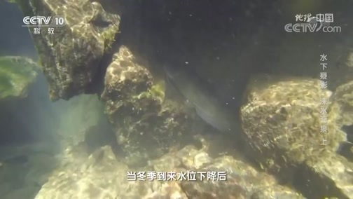 地理中国 《地理·中国》 20200627 水下疑影·涞水奇泉 上
