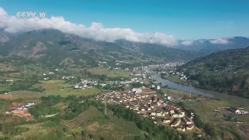 味道 《味道》 20260119 中国风味（1）