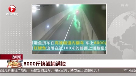 每日新闻报 长征十一号火箭成功发射一箭四星