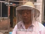走近科学 《走近科学》 20150812 综合的较量