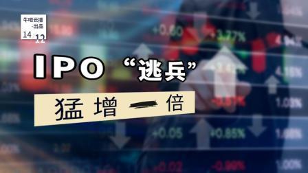 牛吧报道 上会前夜突然变卦IPO逃兵猛增一倍