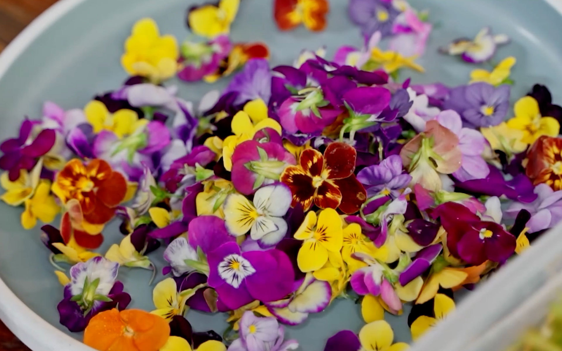 世间的人情味儿