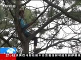 新闻1+1 《新闻1+1》 20161123 常熟童工被查，童工的童年呢？