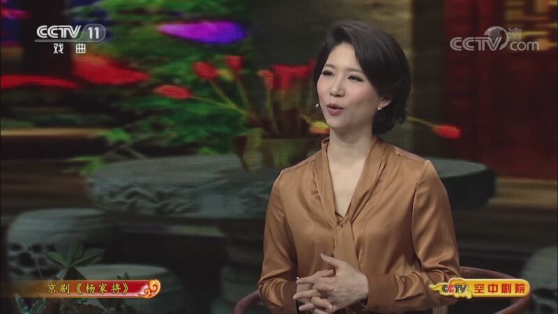 CCTV空中剧院 《CCTV空中剧院》 20200902 京剧《杨家将》（访谈）