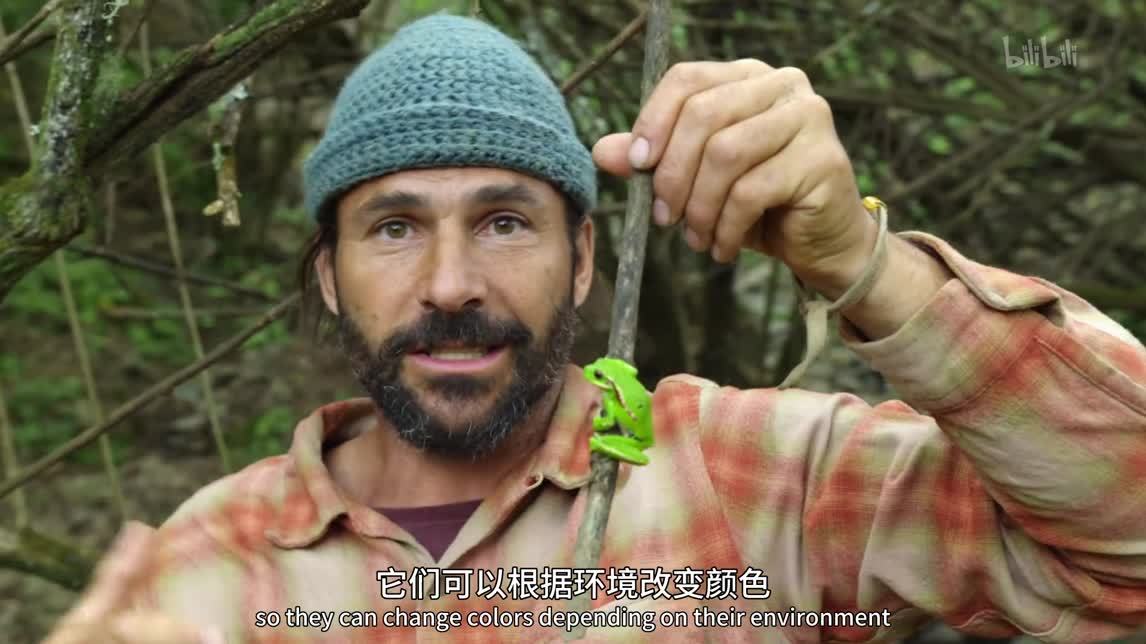 惊险爬坡