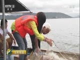 生财有道 《生财有道》 20170814 生态中国系列（沿海行）——大亚湾的沿海财富