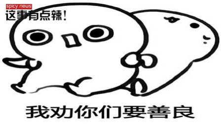 新闻辣一度 我劝你善良之“2018笨贼集锦”