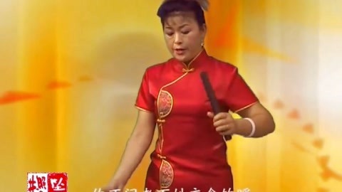 河南坠子 朱云阁 坠子书 王华后传
