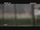 魅力纪录（CCTV-1综合频道） 《魅力纪录》 20131028 惊险瞬间全纪录 第五集 惊险逃生