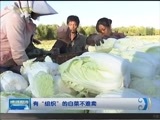 晚间报道 《晚间报道-内蒙古》 20170924