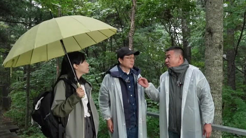 阅见山海第2季 走进五营国家森林公园 陈彦杨知寒初识林三代与红松