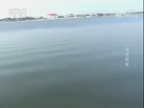我爱发明 《我爱发明》 20180106 诱钓陷阱