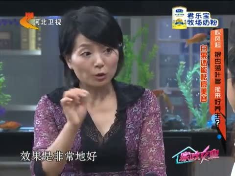家政女皇 《家政女皇》 20140930 秋风起 银杏落叶多 捡来好养生？