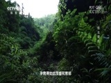 地理中国 《地理中国》 20180810 天坑秘境·桂北奇坑（下）