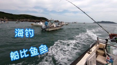 阿杰海钓一天烧了600汽油，居然只钓了4条鲈鱼，亏本亏大了