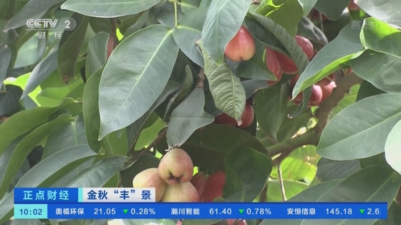 正点财经 《正点财经》 20220926 10:00