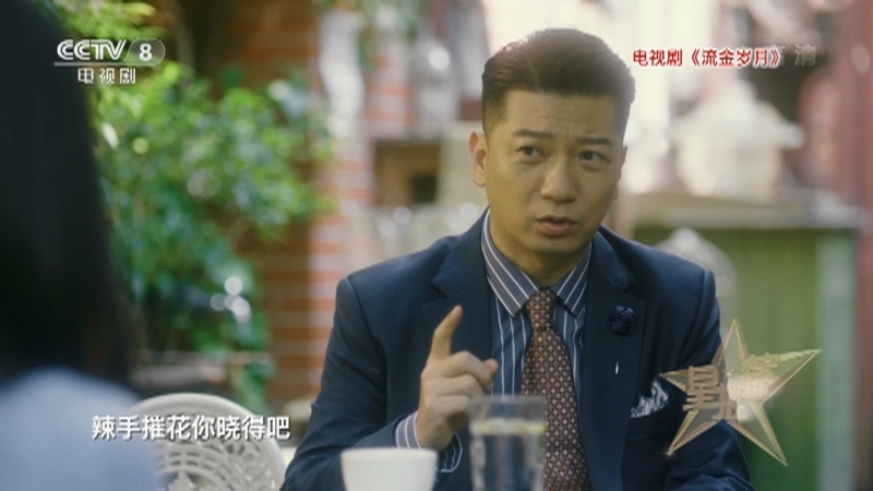 《星推荐》 20210107 田雨推荐《流金岁月》