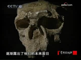 走近科学 头骨上的秘密