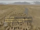 焦点访谈 《焦点访谈》 20161129 中国梦 我的梦