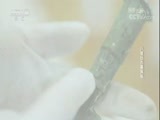 探索发现 《探索发现》 20180416 八塔台古墓探秘