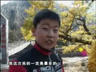 快乐体验 采药记