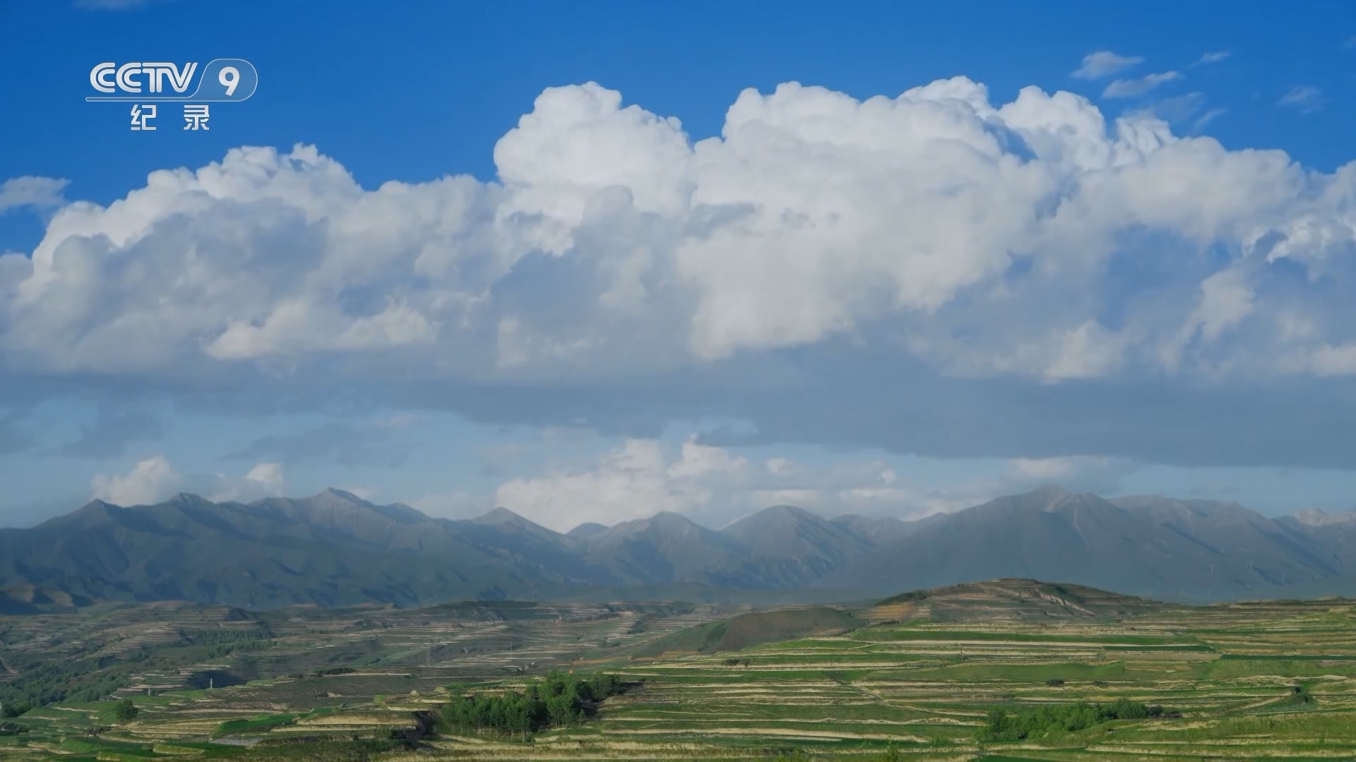 《我们向上而行》 第5集 这方热土