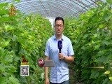 全省新闻联播 《全省新闻联播》 20160717