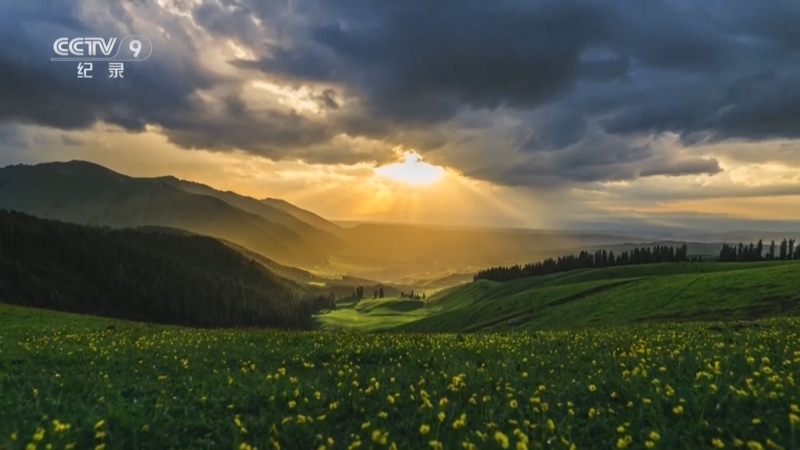 《极致新疆》 第1集 何止青绿