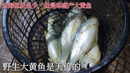 南澳岛赶海日记 鱼况堪忧的近海海域 ，却盛产渔民为着疯狂的名贵鱼种，不惜空网也要放手一搏