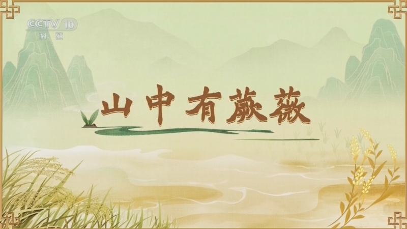 百家讲坛 《百家讲坛》 20260620 食物的历史（第二部） 2 山中有蕨薇