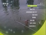 我爱发明 《我爱发明》 20180517 斗鼠3