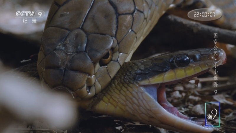 《国家公园 小小世界》 第9集