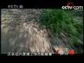 探索发现 《探索发现》之千年雷峰塔
