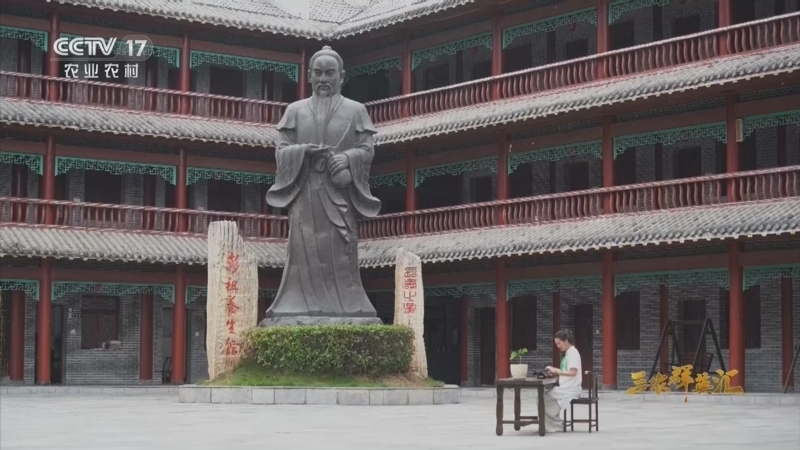 三农群英汇 《三农群英汇》 20260829 黄龙观村的文旅蝶变