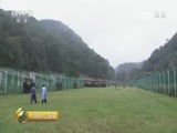 中国财经报道 《中国财经报道》 20161015 聪明的中药材生意
