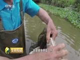 生财有道 《生财有道》 20180814 乡村振兴中国行：走进江西宜丰