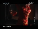 《人文地理》 20110327 《碉楼残梦》 （下）