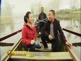 生财有道 《生财有道》 20170503 咱们家乡春天美——江苏丰县：花海叩响春财门