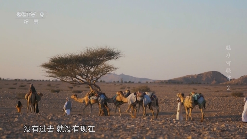 魅力阿联酋 《魅力阿联酋》 第2集