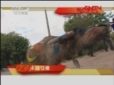 远方的家 《远方的家》 20120122 体验多彩节庆
