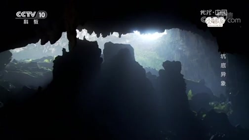 地理中国 《地理中国》 20190128 天坑奇观·坑底异象
