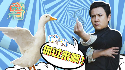 笑霸来了欢畅版 当社会大鹅遇上对手