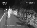 军事纪实 《军事纪实》 20170505 暗夜枪声