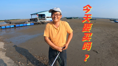 思乡渔夫 渔夫上次耙螺造假被揭发，不甘心换个地继续挖？