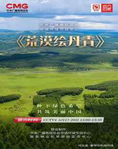 荒漠绘丹青 海报