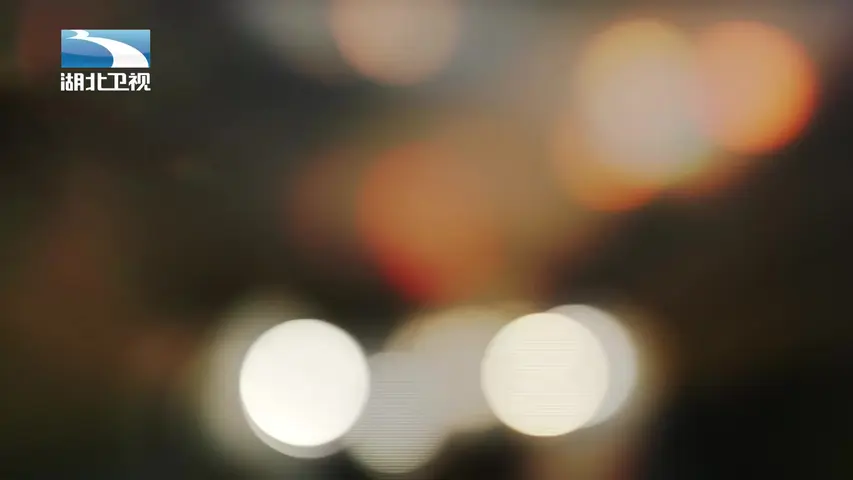 《东北王张作霖》第4集