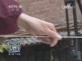 我爱发明 《我爱发明》 20140708 弹花一指间