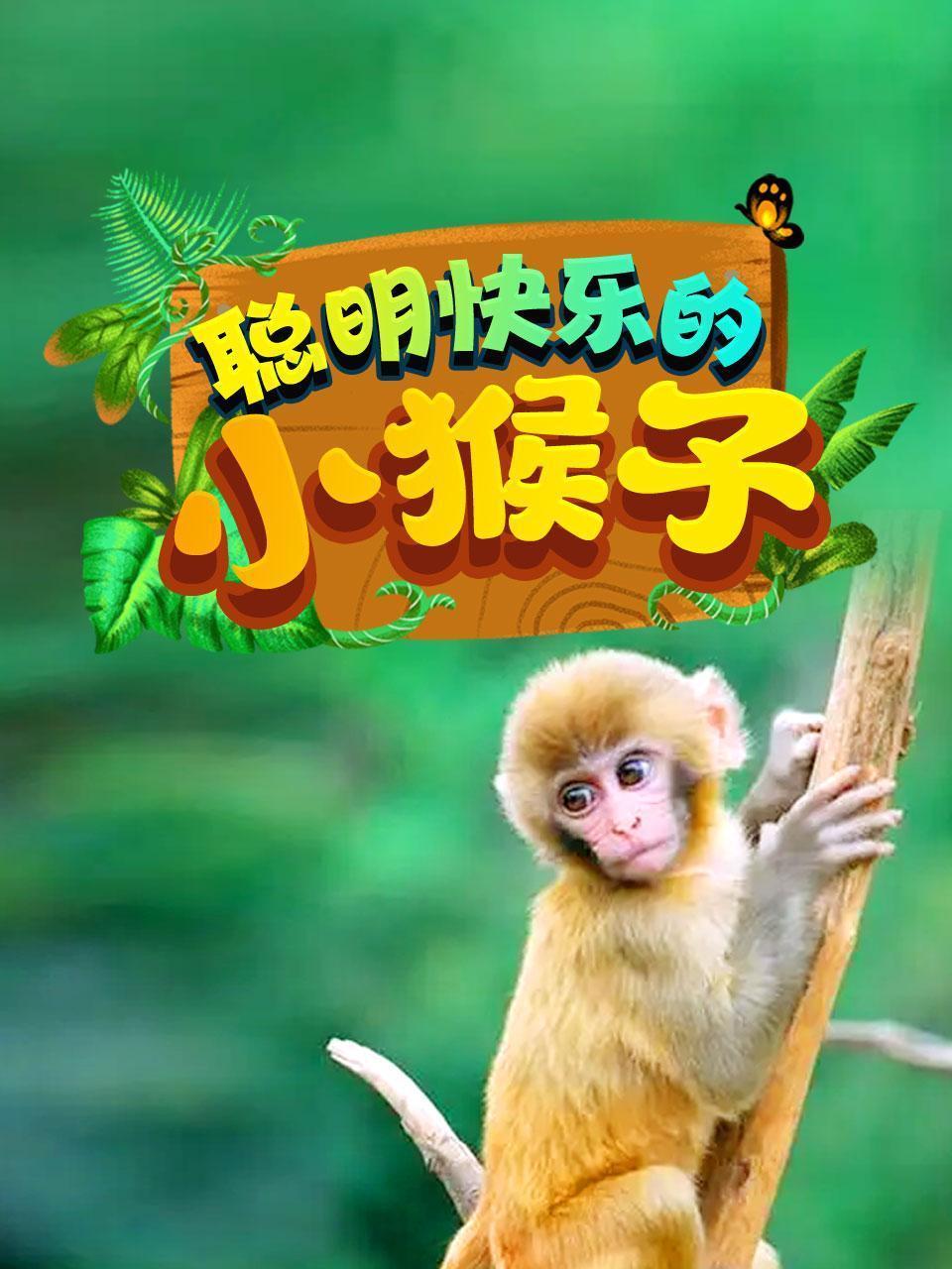 聪明快乐的小猴子